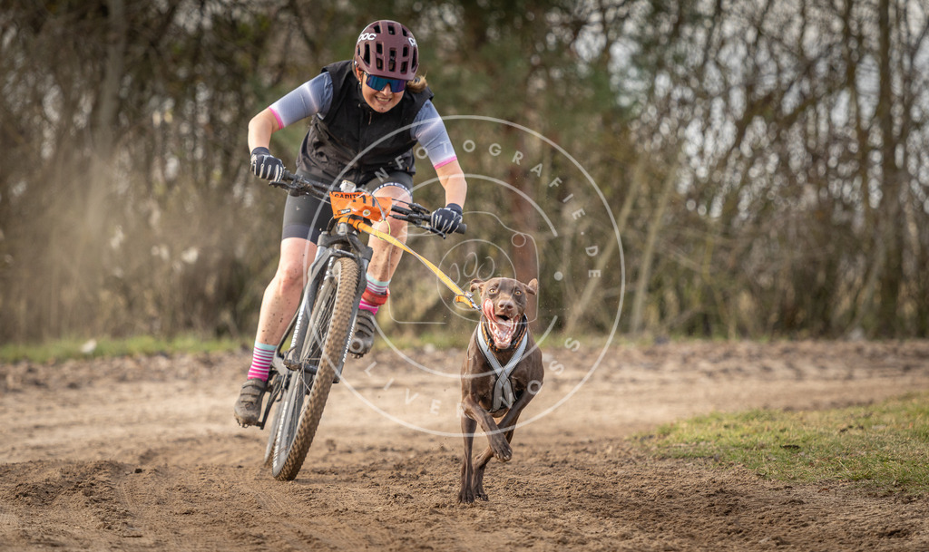 Pfotenfotografie_DV3A8098 | Hundefotografie, Tierfotograf, Pfotenfotografie, Fotoshooting Hund, Hunde Portrait, Hundesport, Hundeportraits, Heideshooting, Hunde, Sportfotograf, Hundefotograf, Turnierhundsport, THS,  - Realisiert mit Pictrs.com