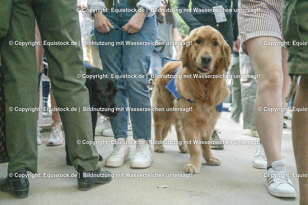 20230527_14_CSI4_Lotto-Hessen-Preis_0255 | equistock