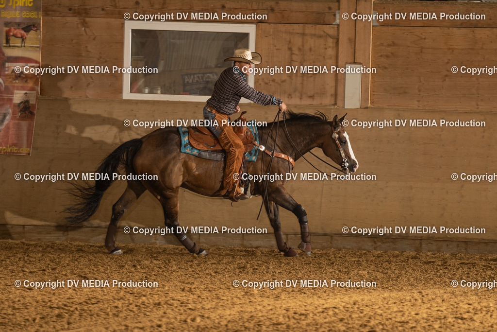 LAU00647 | dv-media-shop - Realisiert mit Pictrs.com