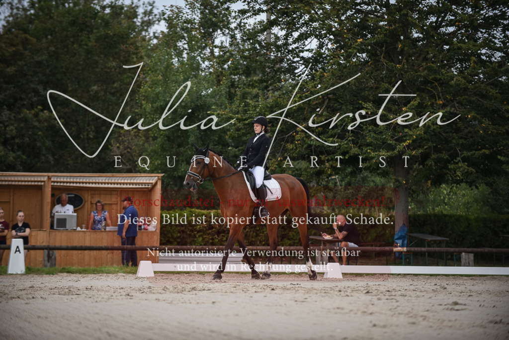 DSC_8088 | Pferde- und Turnierfotografie in Westsachsen. Pferdeportraits, Auftragszeichnungen und intuitive Kunst.