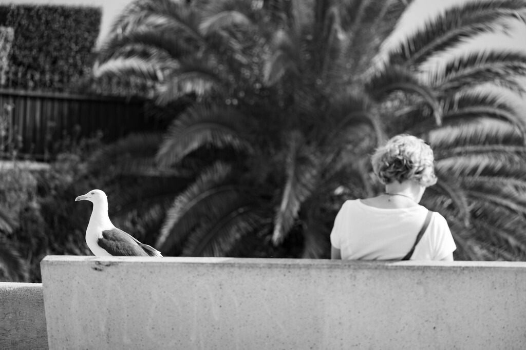 Street (24) | hgt-foto