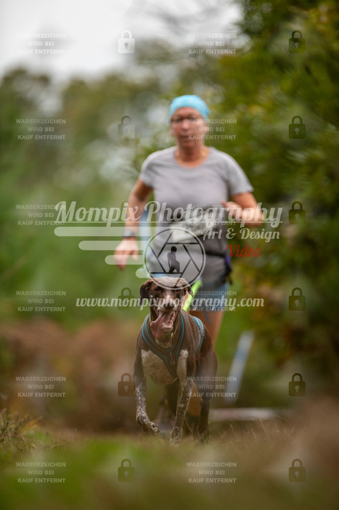 TSB_2023_E5_Canicross-125 | PayLife