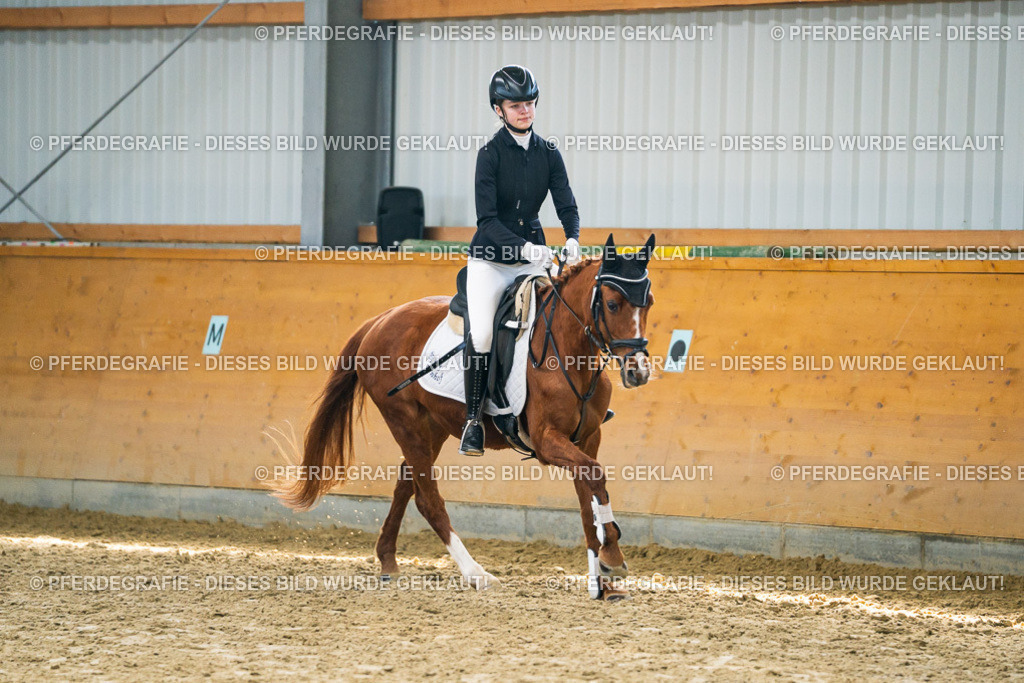 DSC01473 | Pferdegrafie