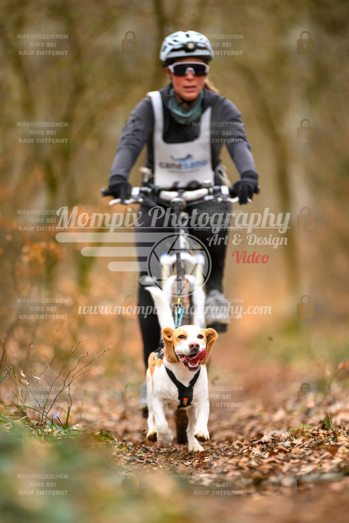 MompixPhotography_ReiatRennen2024_SO_Bike1H-160 | PayLife