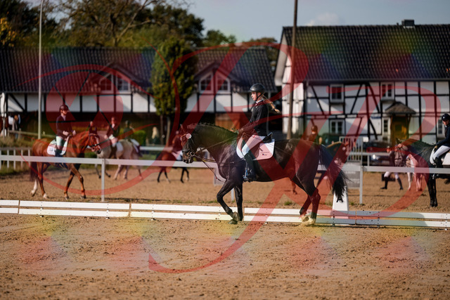 2026_10_03_Siefer-Hof_115454_Z63_30235279 | Professionelle Reitsport-, Turnier- und Eventfotografie von Robert Broda. Galerien mit ausgewählten und bearbeiteten Bildern direkt online ansehen und bestellen.