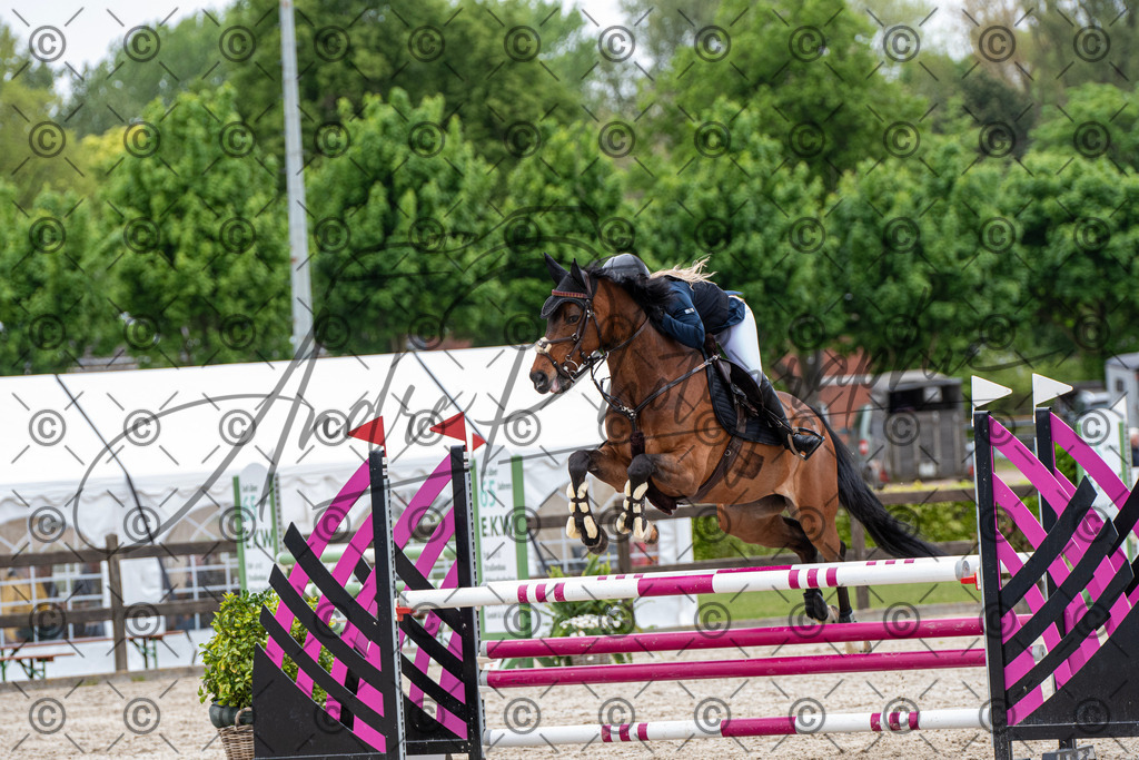 KPT_8621 | andre_photographic