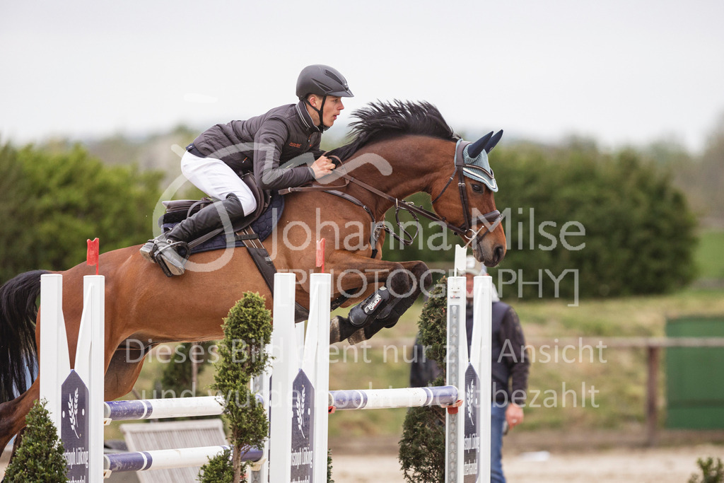 250417_Frühlingsfest_Springpferde-M-114 | Deine schönsten Turniermomente als professionelle Fotos! Entdecke hochwertige Pferdesport-Fotografie im Online-Shop. Jetzt Fotos finden & bestellen!