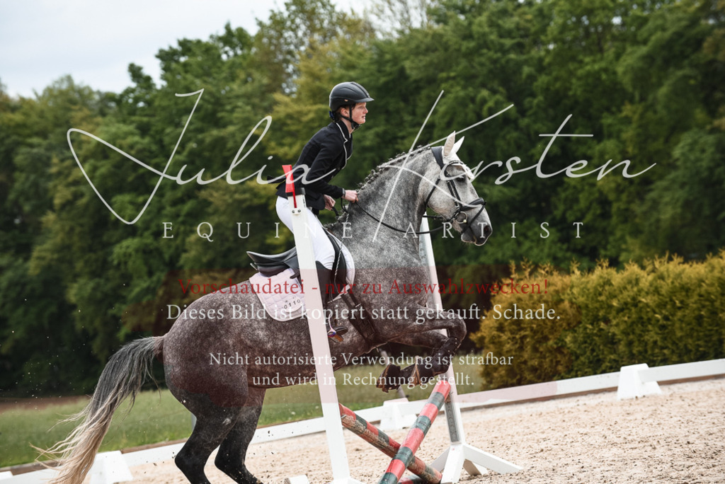 20230518_JK-Röhrsdorf-10-413 | Pferde- und Turnierfotografie in Westsachsen. Pferdeportraits, Auftragszeichnungen und intuitive Kunst.