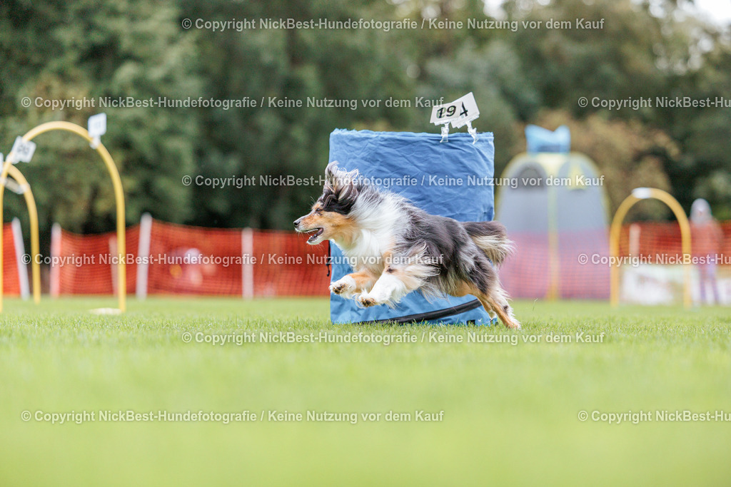 BSP Hoopers-H2 Tag2-2026-Nickbest-Hundefotografie-TuS Komet Arsten e.V.-4507 | Dein Hund! Dein Moment! Deine Erinnerungen! Hundefotografie in Bremen Blumenthal. Ich fange die besonderen Momente deines Vierbeiners ein – ob Indoor mit Blitzanlage oder in der freien Natur. Sicher dir dein Moment und dein Termin für eure Erinnerungen.