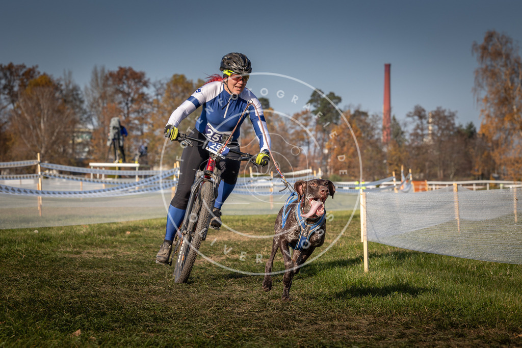 CaniXpix_0L8A7863 | Hundefotografie, Tierfotograf, Pfotenfotografie, Fotoshooting Hund, Hunde Portrait, Hundesport, Hundeportraits, Heideshooting, Hunde, Sportfotograf, Hundefotograf, Turnierhundsport, THS,  - Realisiert mit Pictrs.com
