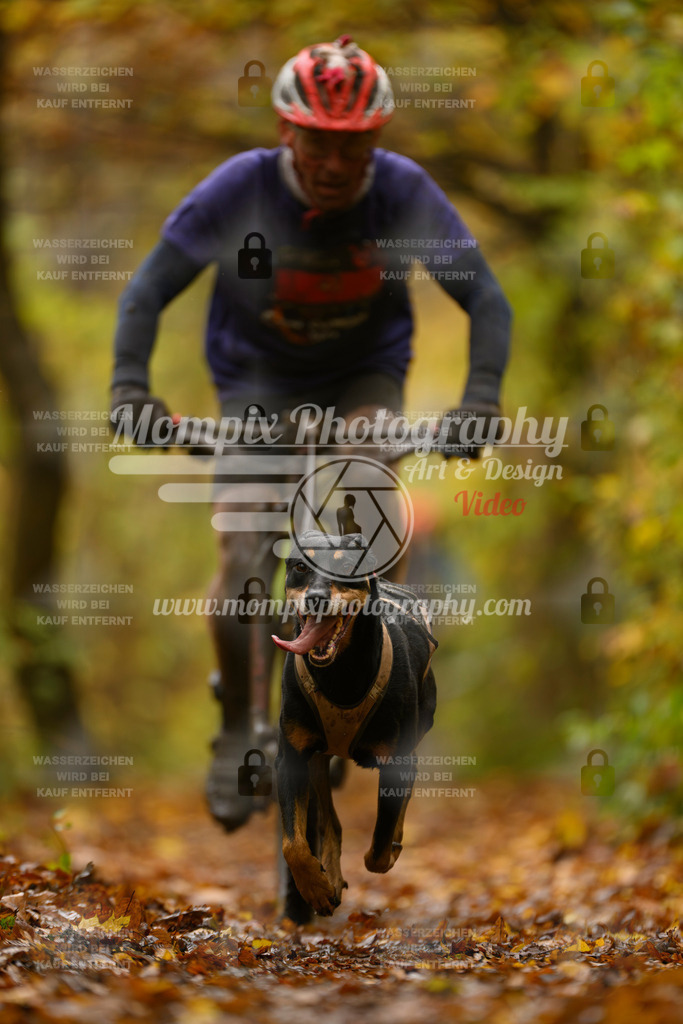 MompixPhotography_CD7S_DI_Bike-44 | mompixphotography