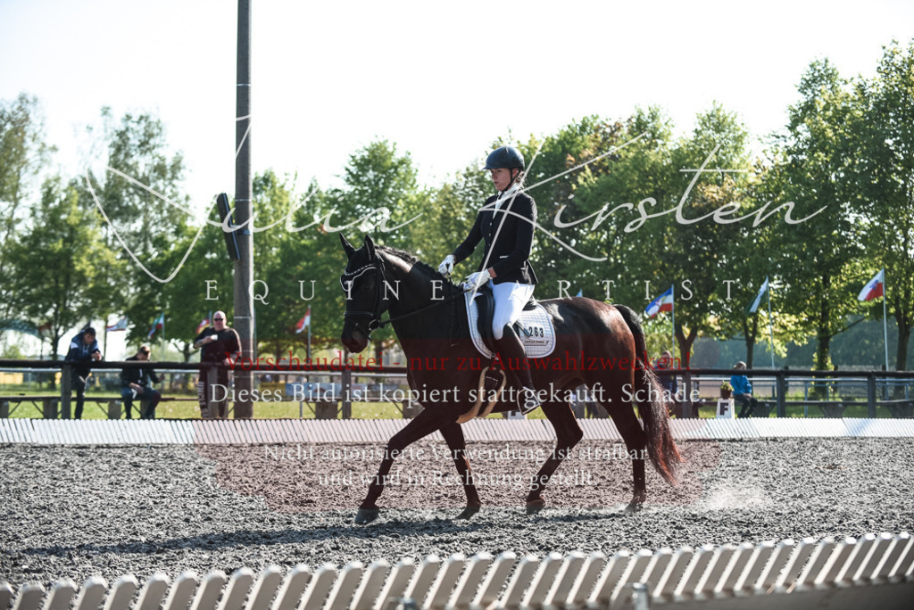 DSC_8386 | Pferde- und Turnierfotografie in Westsachsen. Pferdeportraits, Auftragszeichnungen und intuitive Kunst.