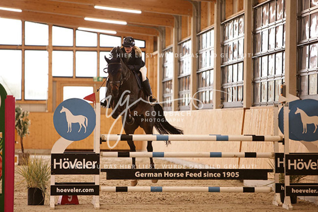 1J2A6681Alexa Burmeister_ Catania 131_ Kn091_ Glantz_ Hohen Wieschendorf | Foto- und Videografie für alles rund ums Pferd. Hochwertige Bilder und Videos vom Spring- und Dressurreiten, Voltigieren & mehr. Jetzt aktuelle Veranstaltungen und Preise im Shop ansehen. - Realisiert mit Pictrs.com