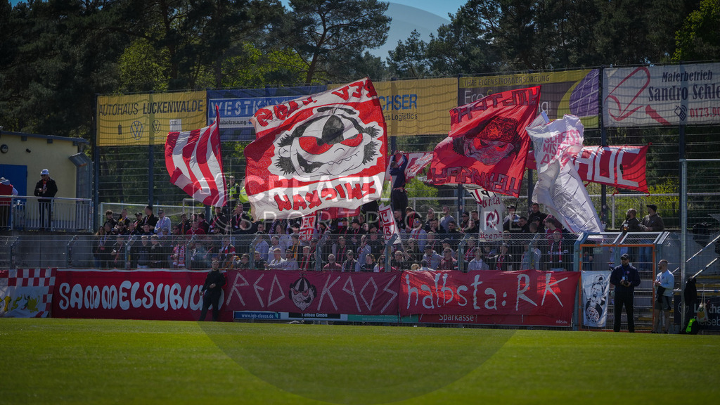 Fußball, Herren, Saison 2025/2026, Regionalliga Nordost, 31. Spieltag, FSV 63 Luckenwalde vs. FSV Zwickau, Sonntag 26.04.2026, Werner-Seelenbinder-Stadion Luckenwalde | Fußball, Herren, Saison 2025/2026, Regionalliga Nordost, 31. Spieltag, FSV 63 Luckenwalde vs. FSV Zwickau, Sonntag 26.04.2026, Werner-Seelenbinder-Stadion Luckenwalde, Im Bild: Die mitgereisten Fans des FSV Zwickau. - Realisiert mit Pictrs.com