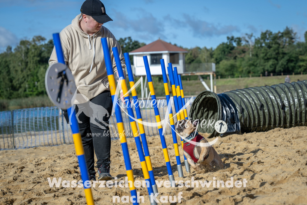 1114_ZZ90697 | kk-dogfotos