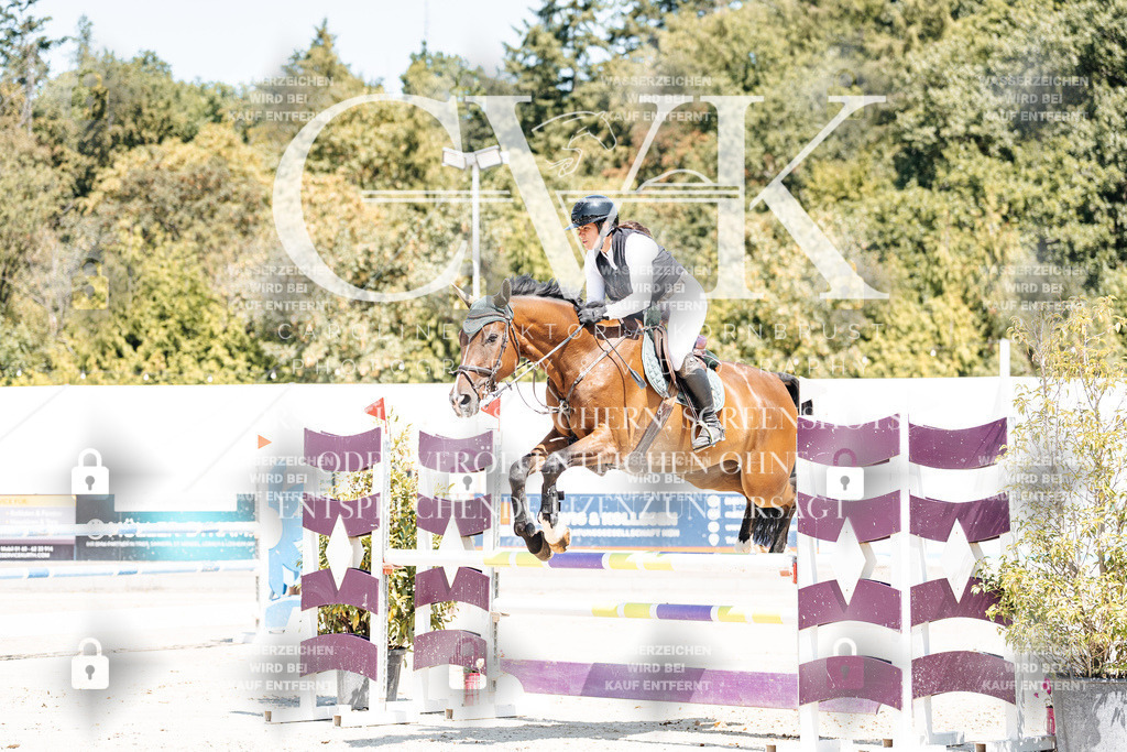 CK900277 | Turnierfotografie Pferdefotografie Trier Rheinland-Pfalz Pferdesport Reitsport Tierfotografie Sportfotografie Pferdevideo Pferdevideografie Equestrianvideography equestrianphotography  - Realisiert mit Pictrs.com