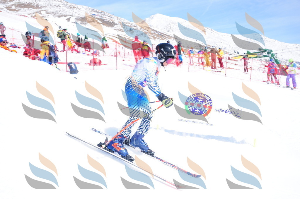 DSC_7082 | holidayphoto