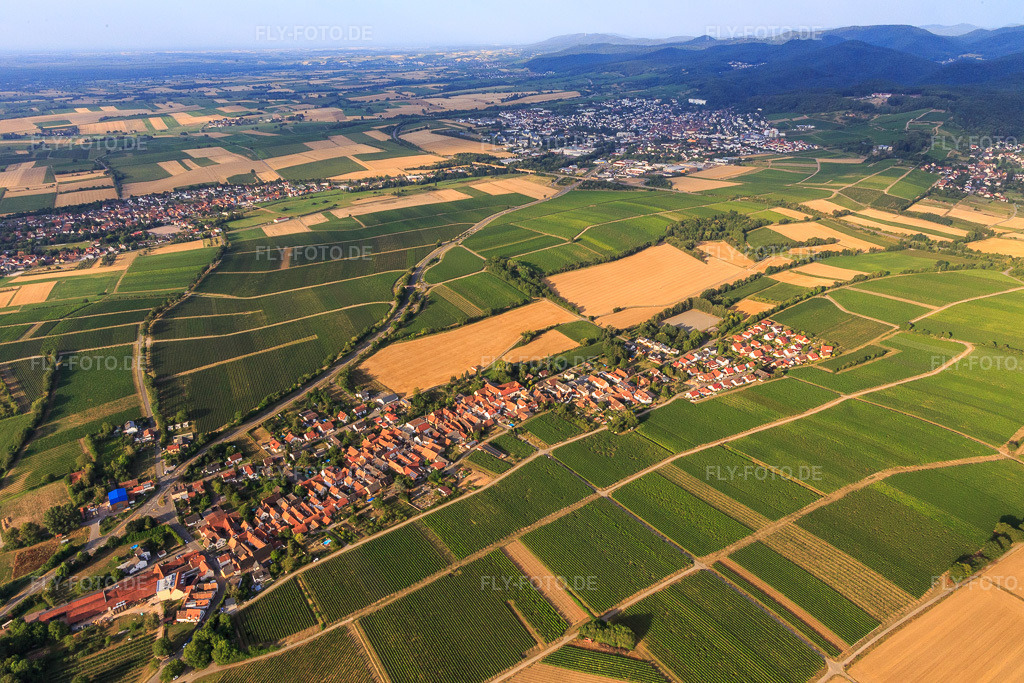 Luftbild: Ortsansicht von Norden in Niederhorbach im Bundesland Rheinland-Pfalz in Deutschland. Foto: IMG_121910.jpg vom 01.08.2020 durch Werner Riehm/FLY-FOTO.de