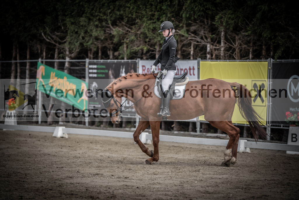 DSC_0781 | equestrian-live-com