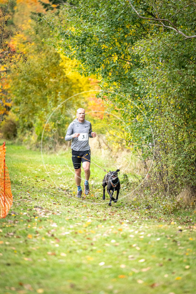 Pfotenfotografie_DV3A1605 | Hundefotografie, Tierfotograf, Pfotenfotografie, Fotoshooting Hund, Hunde Portrait, Hundesport, Hundeportraits, Heideshooting, Hunde, Sportfotograf, Hundefotograf, Turnierhundsport, THS,  - Realisiert mit Pictrs.com