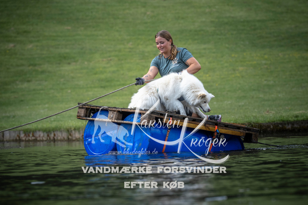 0838_ZZ99801 | kk-dogfotos