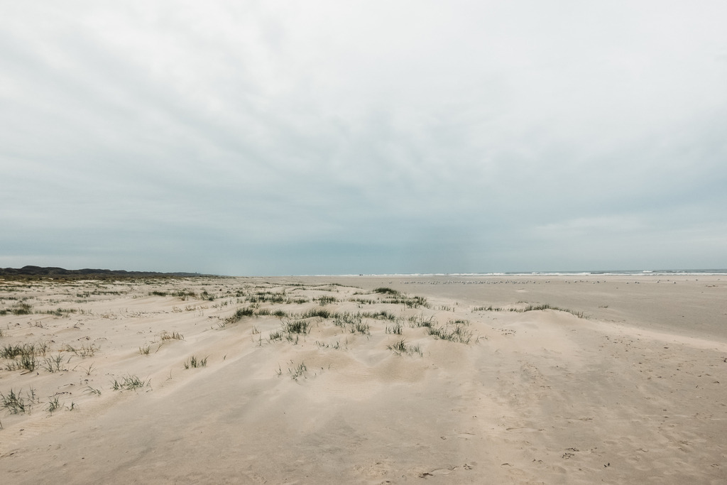 DSC03618 | AHORN PHOTOGRAPHY - Realisiert mit Pictrs.com