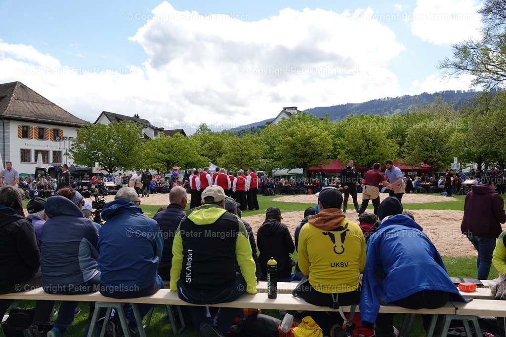 DSC00550 | Schwingen - Realisiert mit Pictrs.com