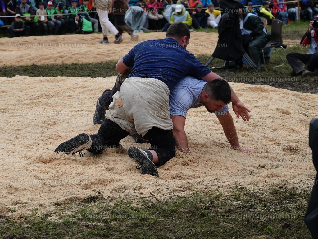 DSC07697 | Schwingen - Realized with Pictrs.com