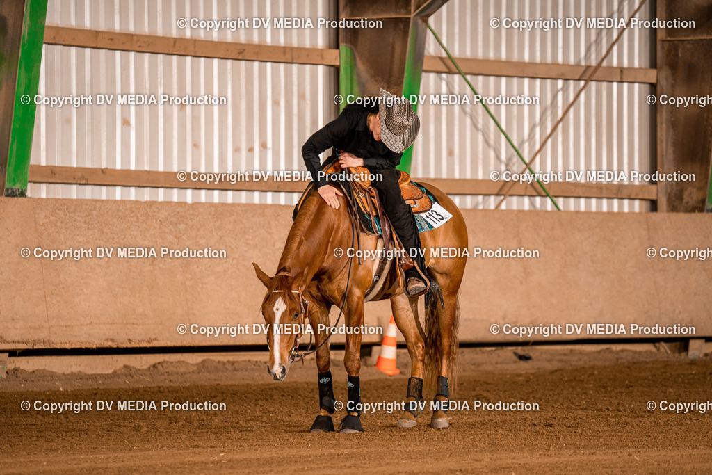 BA301233 | dv-media-shop - Realisiert mit Pictrs.com