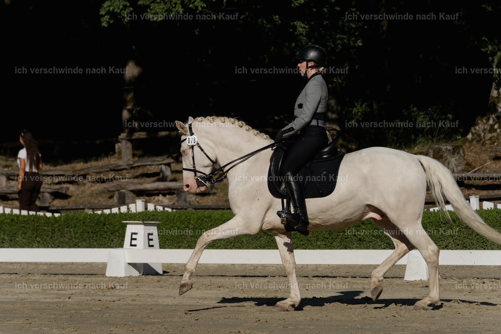 WM_DR_76_sinafilmart_IN04437 | working equitationturnier fotograf videograf stoibphotography marixx film working equitation deutschland reitsport turnierfotografie eventfotografie equestrian events