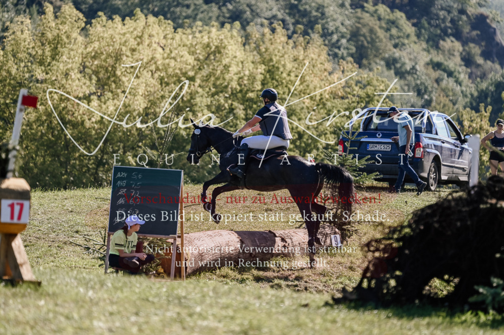 DSC_3352 | Pferde- und Turnierfotografie in Westsachsen. Pferdeportraits, Auftragszeichnungen und intuitive Kunst.
