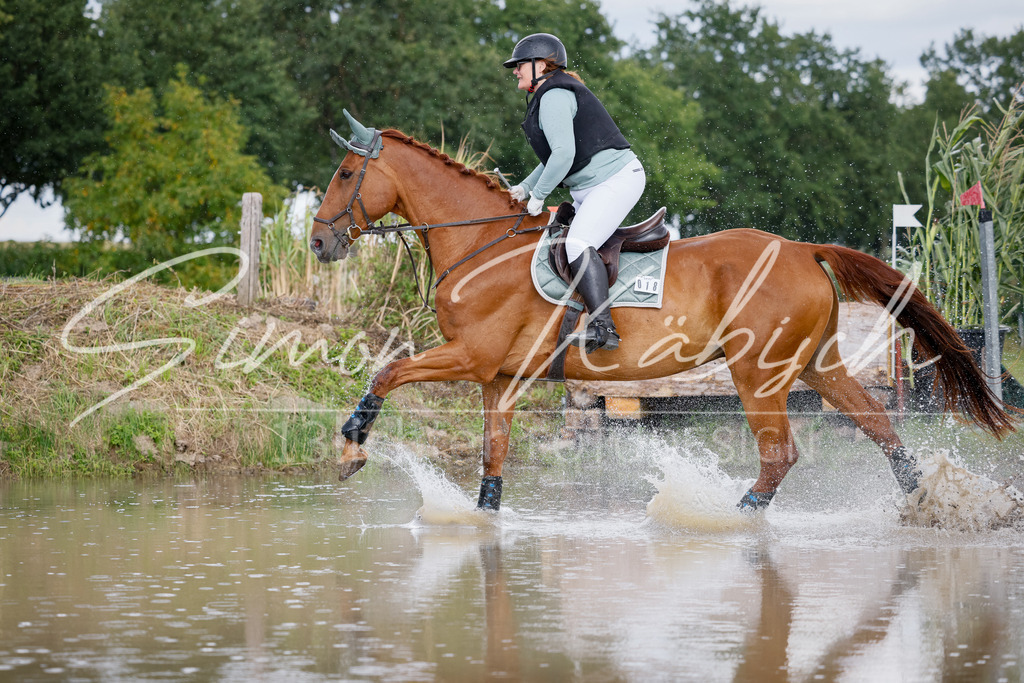 20250905-_3LI0795 | Tierfotografie Pferde, Hunde, Katzen, Haustiere.
Turnierfotografie Reitturniere, Reiten, Springreiten, Dressur in Hanau, dem Main-Kinzig-Kreis und dem Rhein-Main- Gebiet um Frankfurt