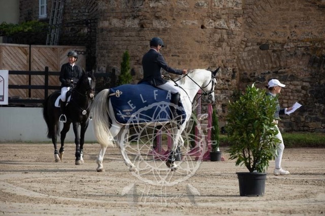 2B4A2149 | pixelfaenger - Realisiert mit Pictrs.com