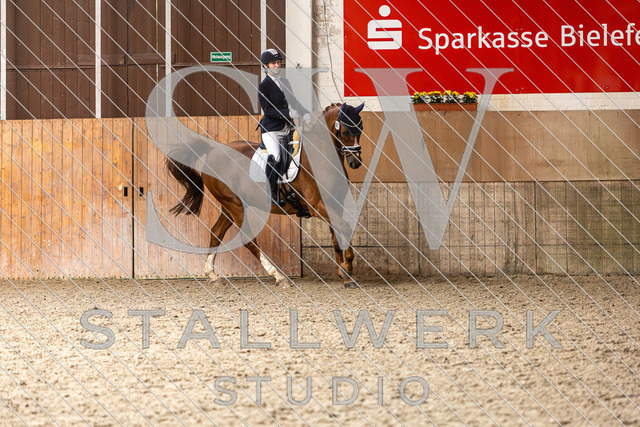 2L2A4998 | stallwerkstudio - Realisiert mit Pictrs.com