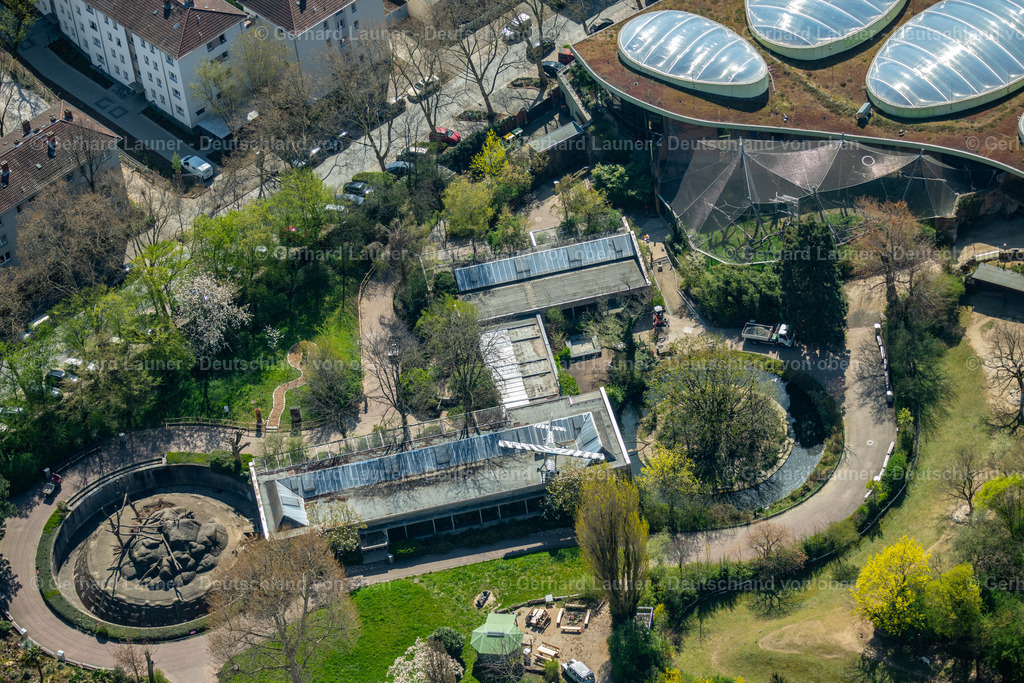 4020107 | Zoo, Frankfurt am Main