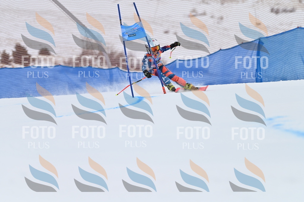 BGV_2513 | holidayphoto