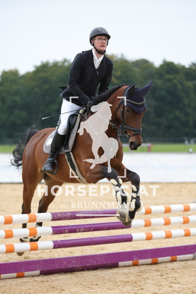 0P6A3402 | Willkommen bei Brunnmayr - Design & Fotografie – Ihrem Spezialisten für Reitturniere und Pferdeveranstaltungen in Oberösterreich, Salzburg und Bayern! Seit über 17 Jahren sind wir leidenschaftlich dabei.