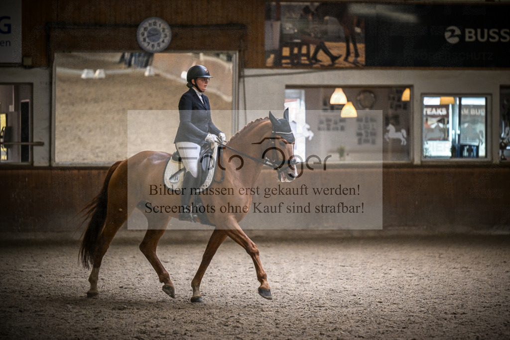 DOS_0625 | Entdecke hochwertige Reitturnierfotos von Foto Oger. Professionell, emotional und authentisch – jetzt Lieblingsmomente im Shop bestellen.Deutschlandweite Turnierfotografie. - Realisiert mit Pictrs.com