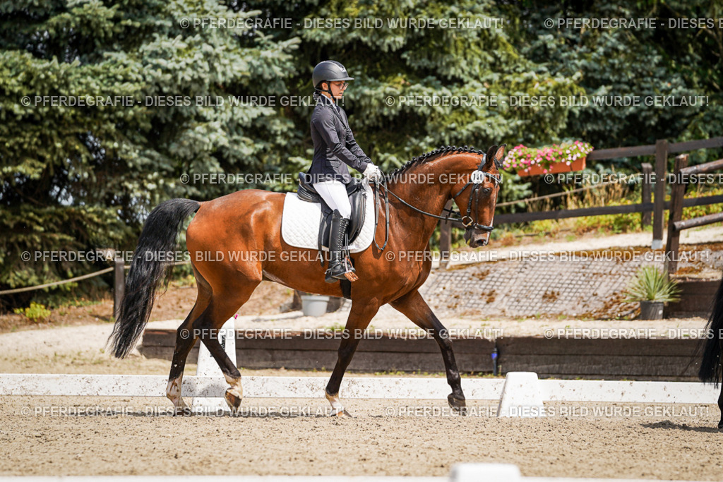 DSC02766 | Pferdegrafie