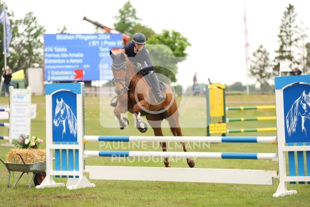 IMG_6732 | Pauline Ullmann Photography - Realisiert mit Pictrs.com