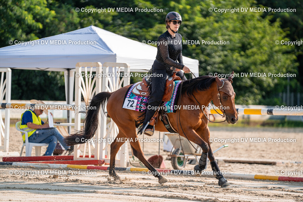 Zeiskam Tag 1-099 | dv-media-shop - Realisiert mit Pictrs.com