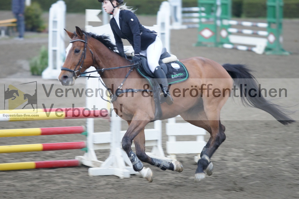 DSC00251 | equestrian-live-com