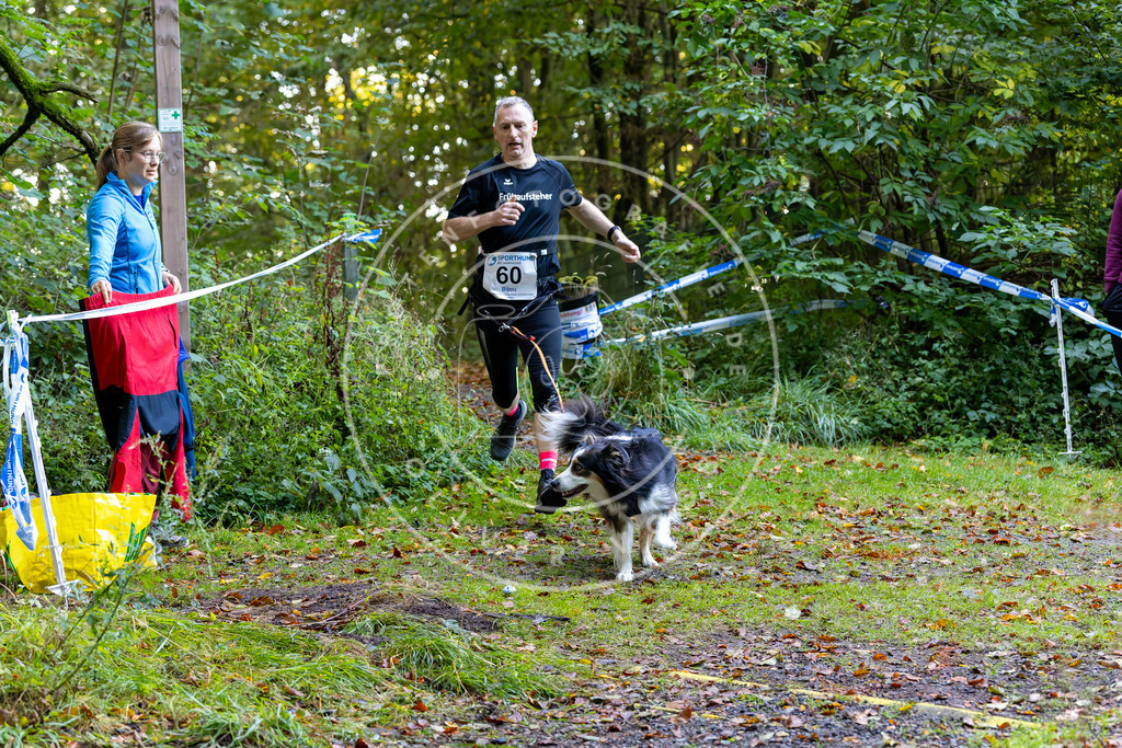 Pfotenfotografie_DV3A7194 | Hundefotografie, Tierfotograf, Pfotenfotografie, Fotoshooting Hund, Hunde Portrait, Hundesport, Hundeportraits, Heideshooting, Hunde, Sportfotograf, Hundefotograf, Turnierhundsport, THS,  - Realisiert mit Pictrs.com
