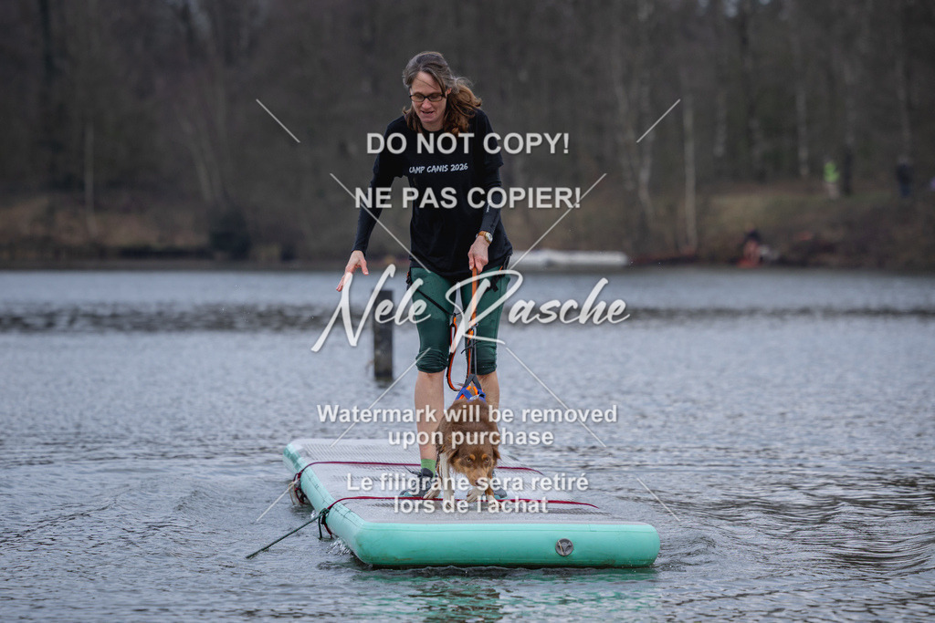 nelerasche_Hulsbeek_Sa1600-1700_594 | nelerasche