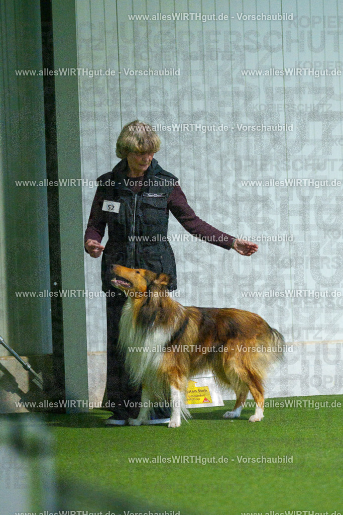 7R502146 | Professionelle Tierfotografie in Mönchengladbach von Daniel Wirth (allesWIRTHgut). Liebevolle & natürliche Bilder von Hunden & Katzen für unvergessliche Erinnerungen.