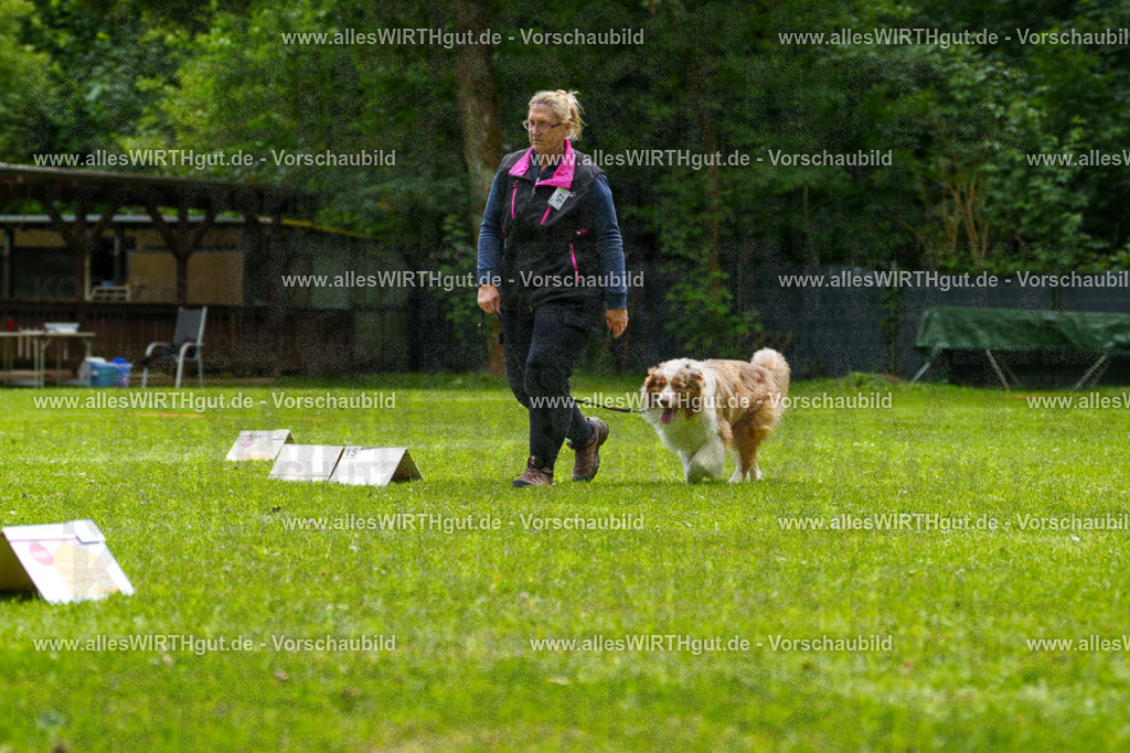 @allesWIRTHgut_Tierfotografie - www.allesWIRTHgut.de - 7R501273 | Professionelle Tierfotografie in Mönchengladbach von Daniel Wirth (allesWIRTHgut). Liebevolle & natürliche Bilder von Hunden & Katzen für unvergessliche Erinnerungen.