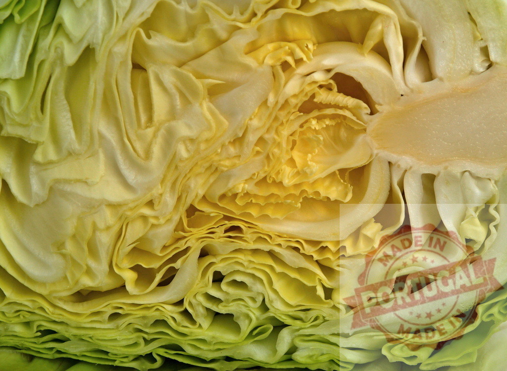 Cabbage head showing texture, pattern and fresh layers | Cabbage cross-section revealing natural texture, patterns, and fresh leaf layers - Realized with Pictrs.com