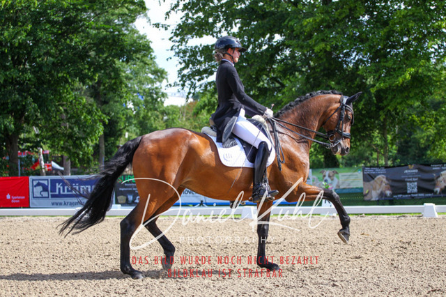 DKP41397 | Turnierfotos kaufen im Webshop von Daniel Kuhl Photography – entdecke professionelle Reitsportfotos aus Turnieren & Events. Hochwertige Turnierbilder online bestellen & sichern. Jetzt Fotos von Reitsportturnieren kaufen!