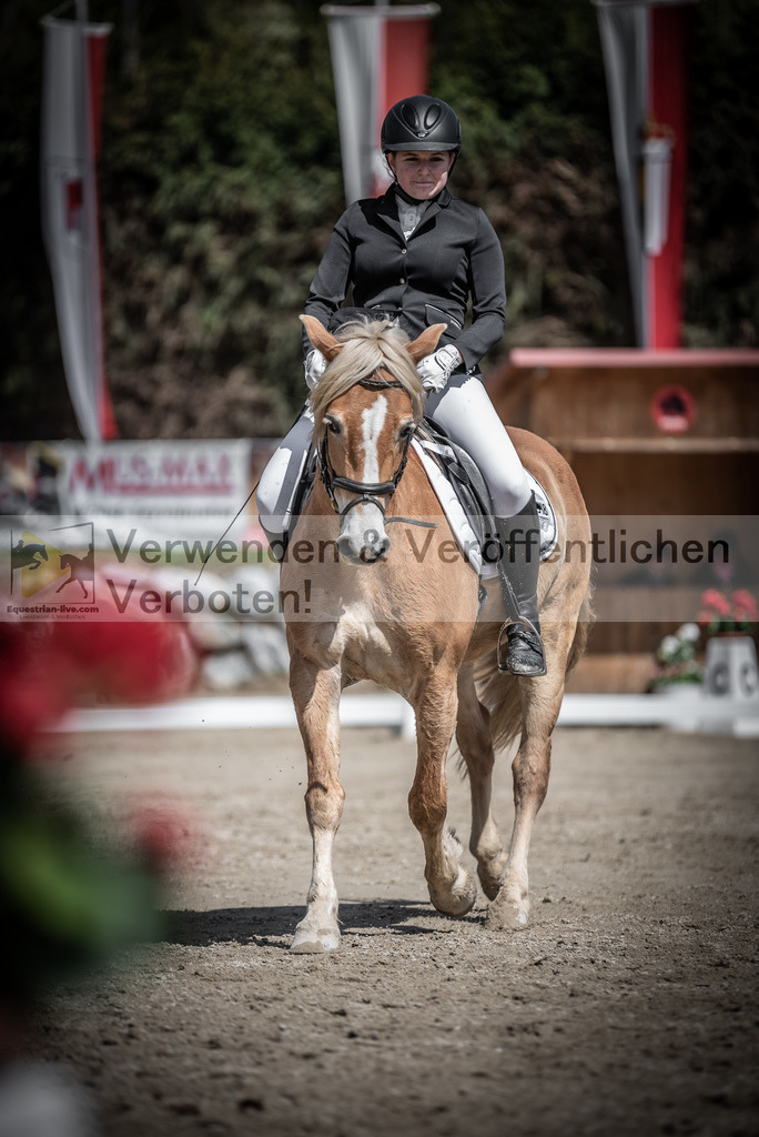 DSC_0695 | equestrian-live-com