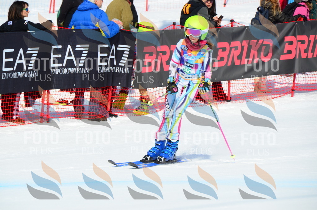 DSC_0551 | holidayphoto